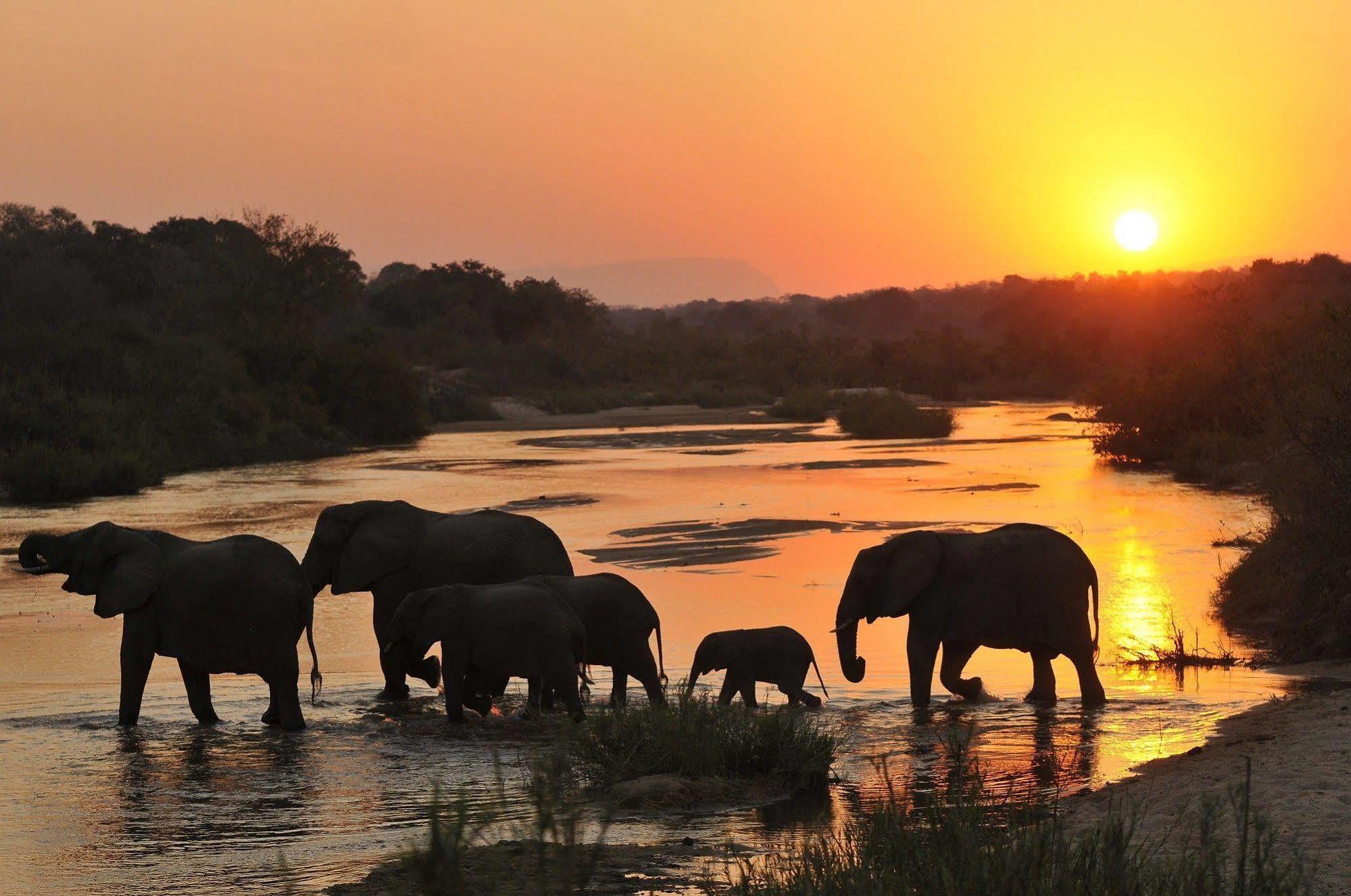 Inyati Game Lodge Metsi Exteriör bild